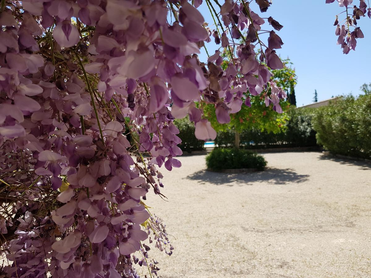 La Pastorale 3*