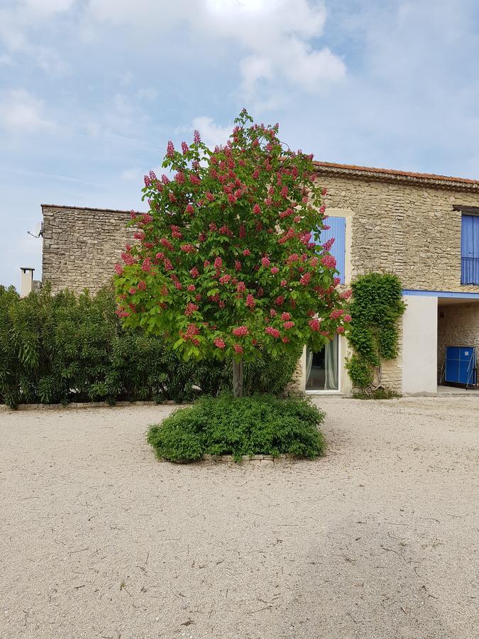 La Pastorale Bed & Breakfast Lagnes