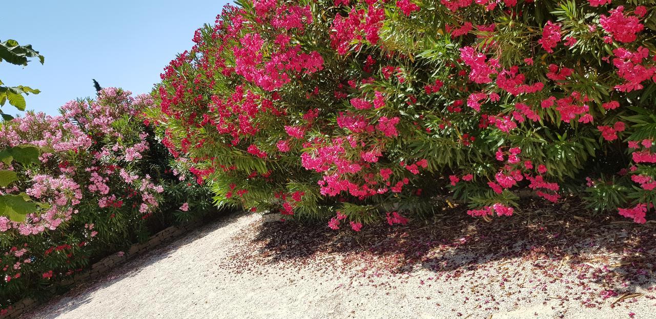 Bed & Breakfast La Pastorale Lagnes